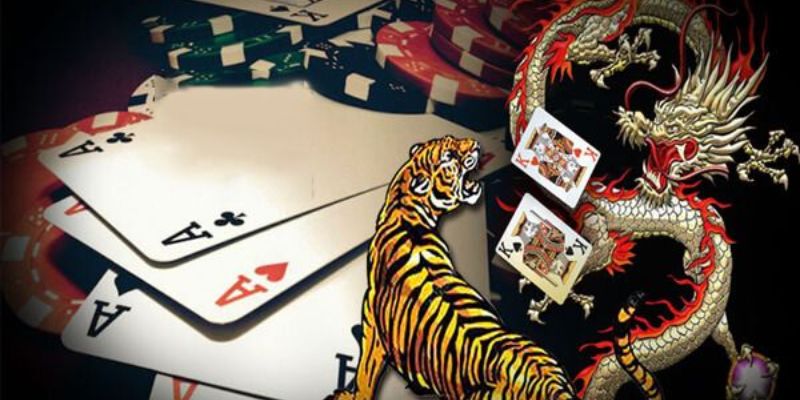 Quy tắc và luật chơi và bí kíp trò chơi rồng hổ cơ bản