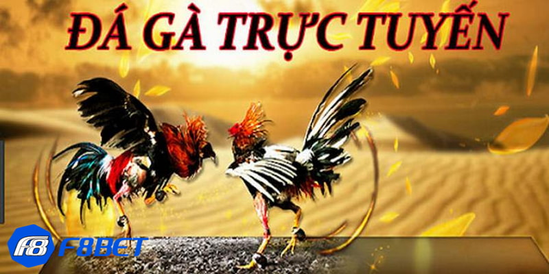 Chiến lược để tham gia đá gà online ăn tiền thật hữu ích